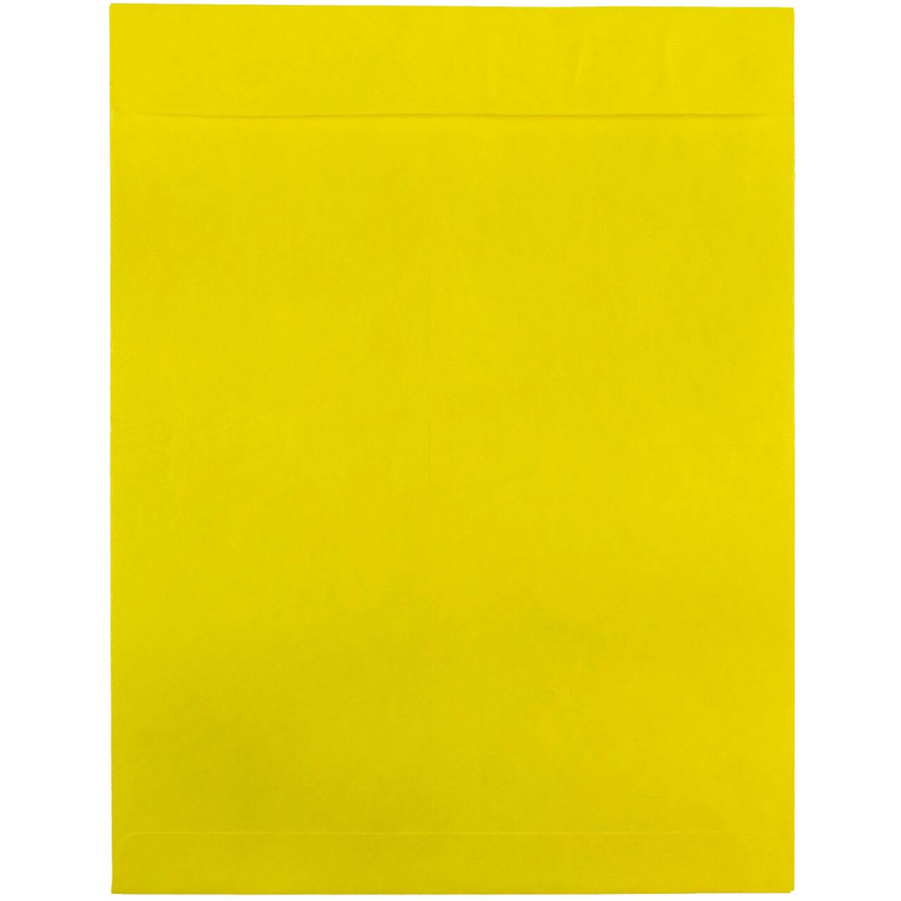 JAM Paper 10" x 13" Tyvek Tear-Proof Open End Catalog Envelopes, 25ct.
